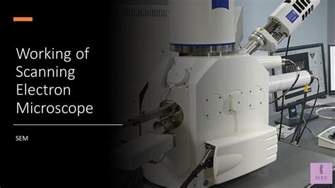 application of scanning electron microscope ppt|Scanning Electron Microscopy Working Principle .